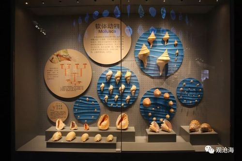国家海洋博物馆纪念品